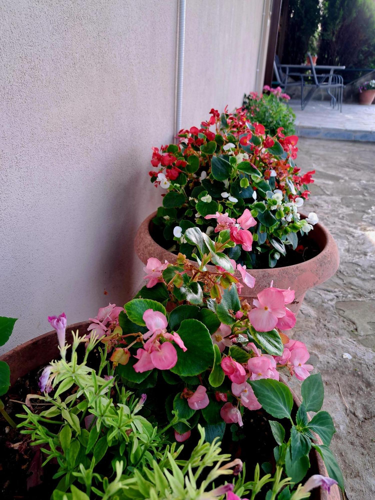 Villaggio Traditional Living يانينة المظهر الخارجي الصورة