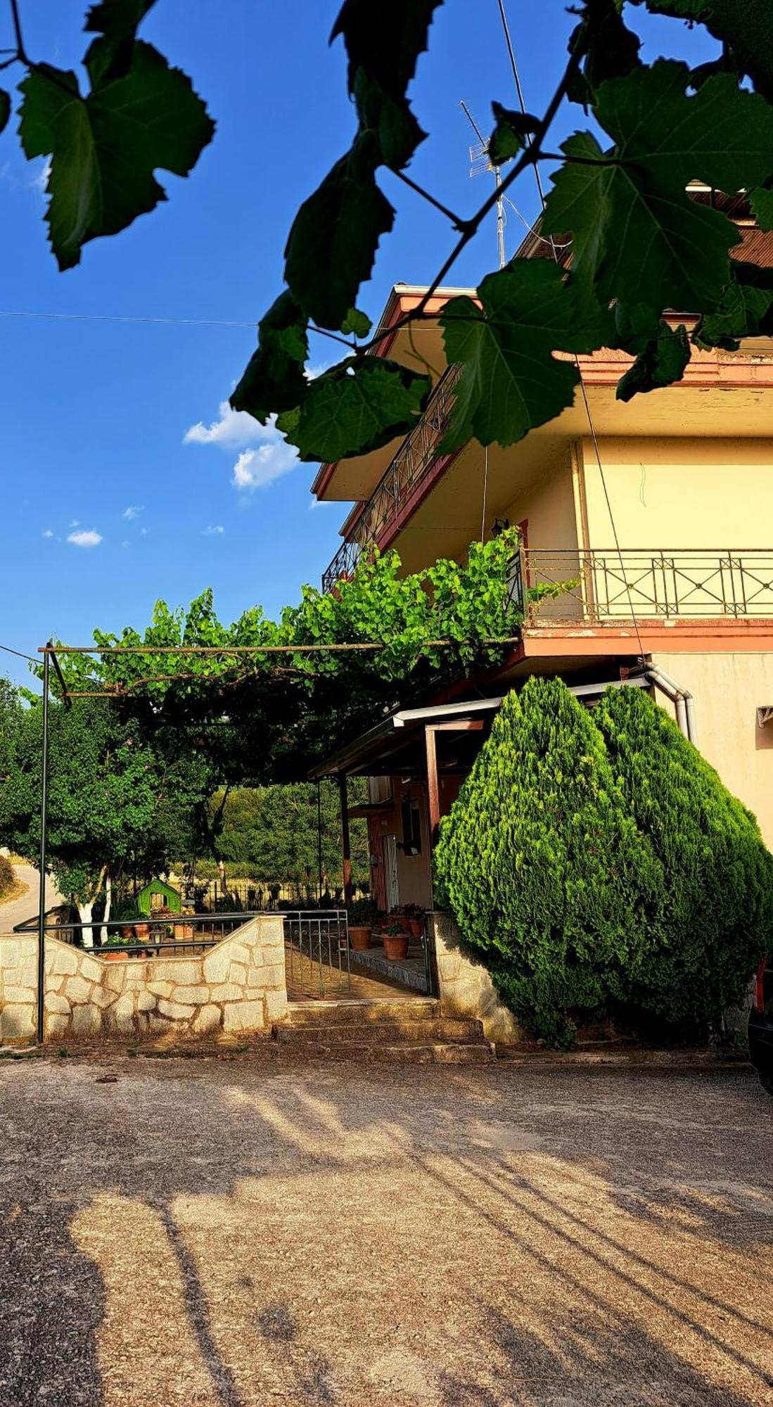 Villaggio Traditional Living يانينة المظهر الخارجي الصورة